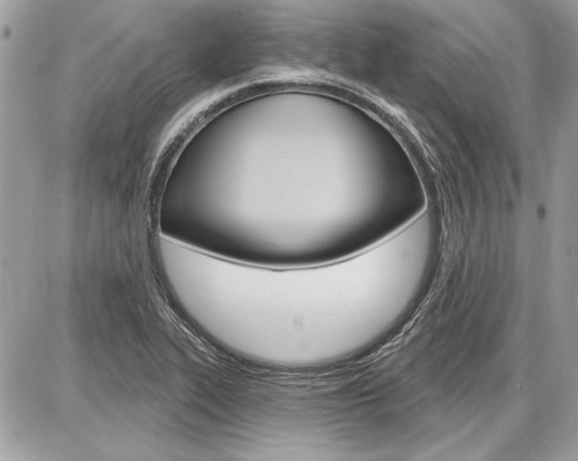 X0000086881319200704160929