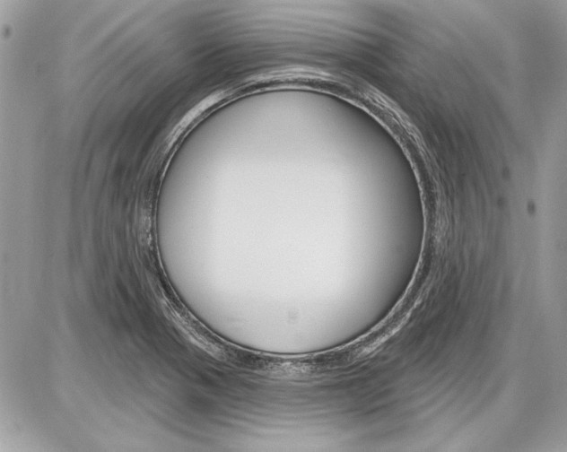 X0000086881321200704160930