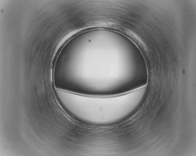 X0000086881324200704160930