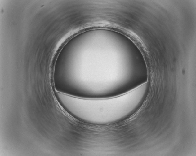 X0000086881326200704160930