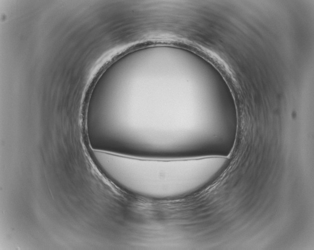 X0000086881327200704160930