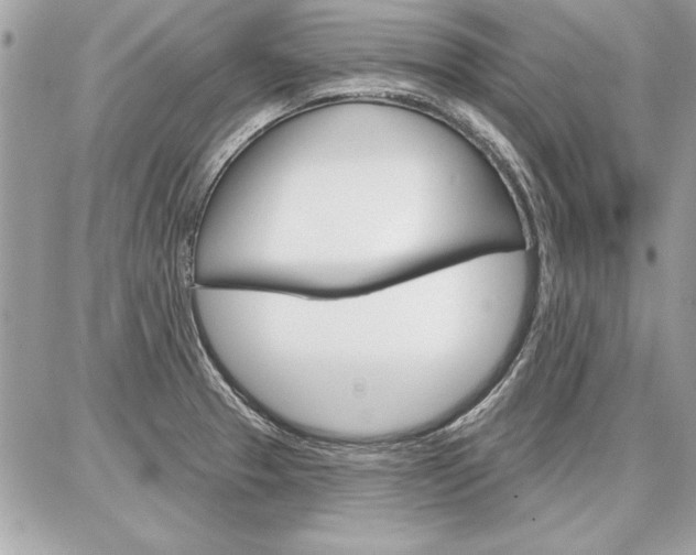 X0000086881329200704160930