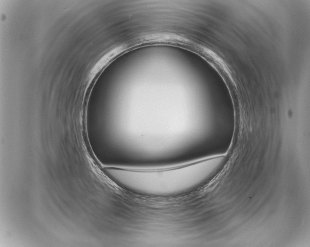X0000086881330200704160930