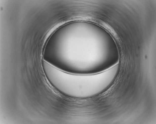 X0000086881332200704160930