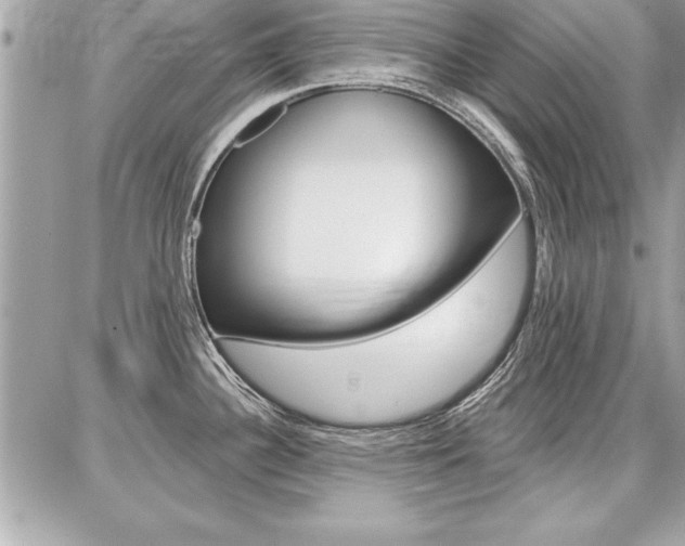X0000086881340200704160930