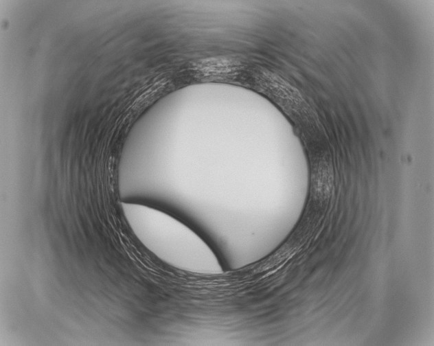 X0000086881346200704160929