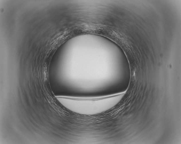 X0000086881348200704160929