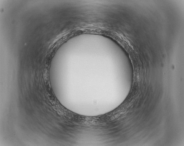 X0000086881350200704160929