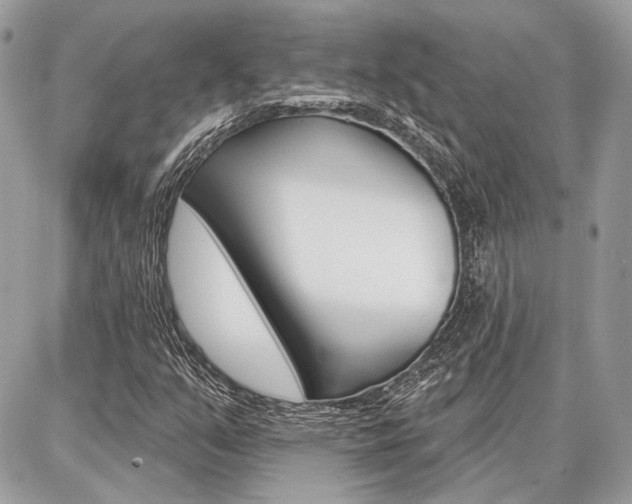 X0000086881351200704160929