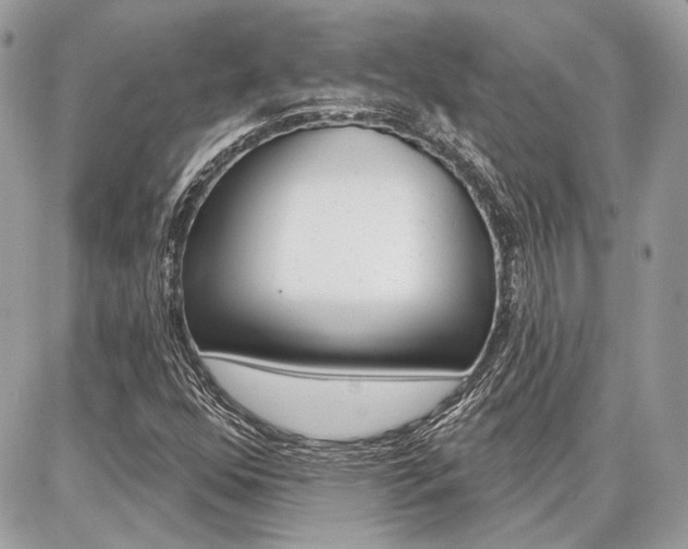 X0000086881352200704160929