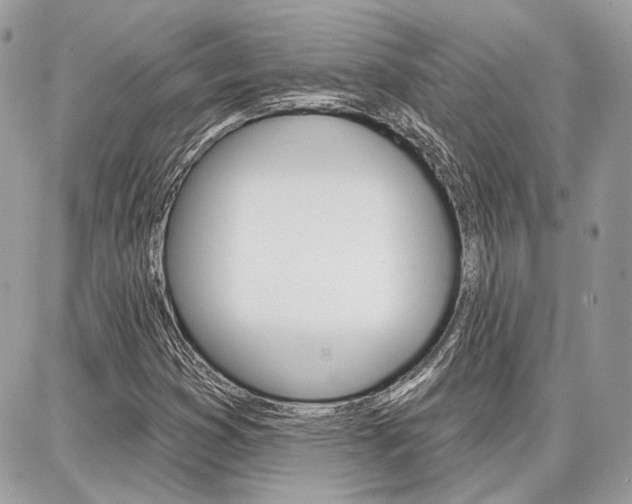 X0000086881353200704160929