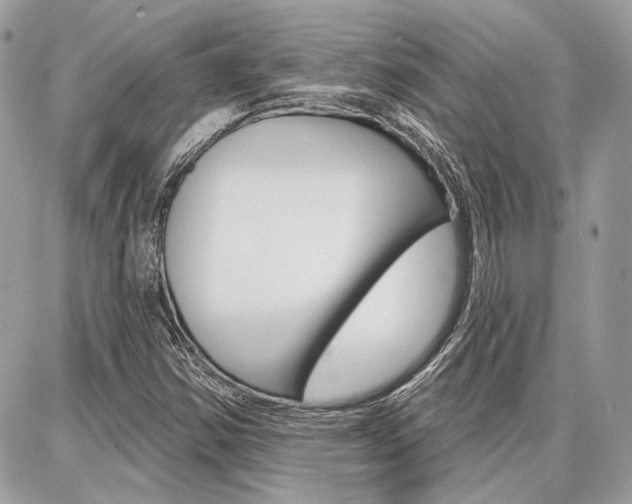 X0000086881354200704160929