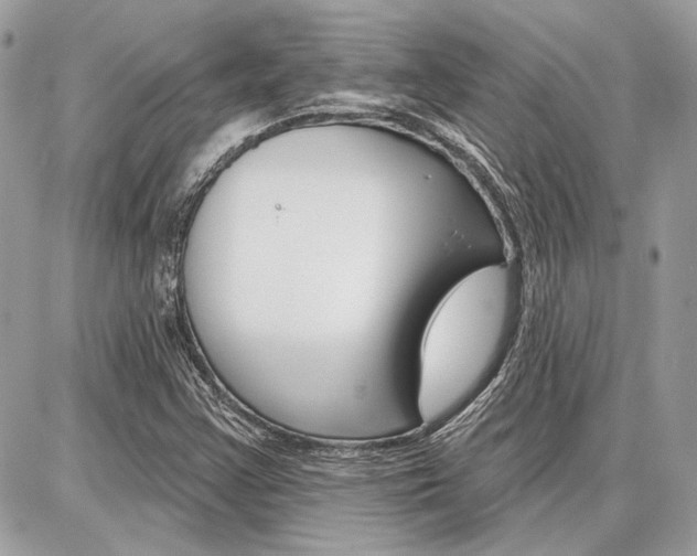 X0000086881355200704160929