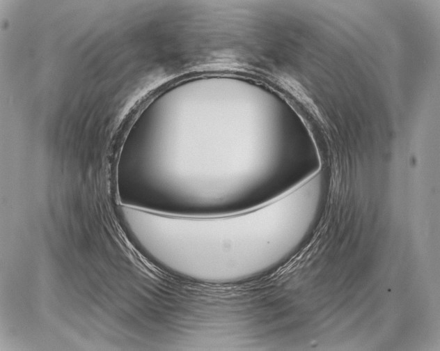 X0000086881356200704160929