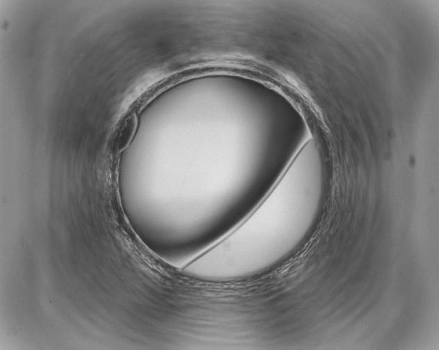 X0000086881360200704160929