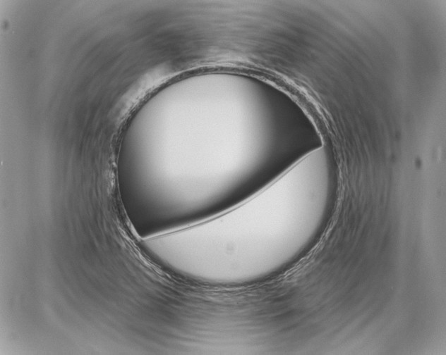 X0000086881363200704160929