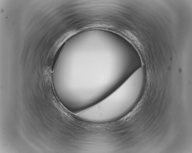 X0000086881369200704160929