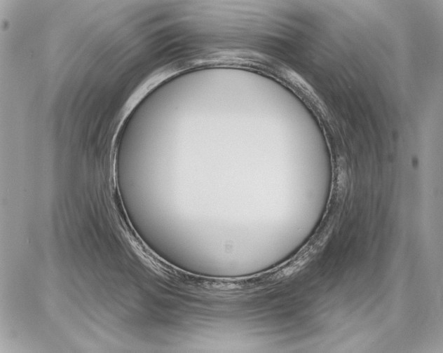 X0000086881370200704160929