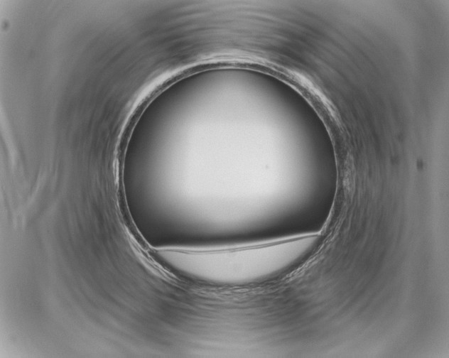 X0000086881372200704160929