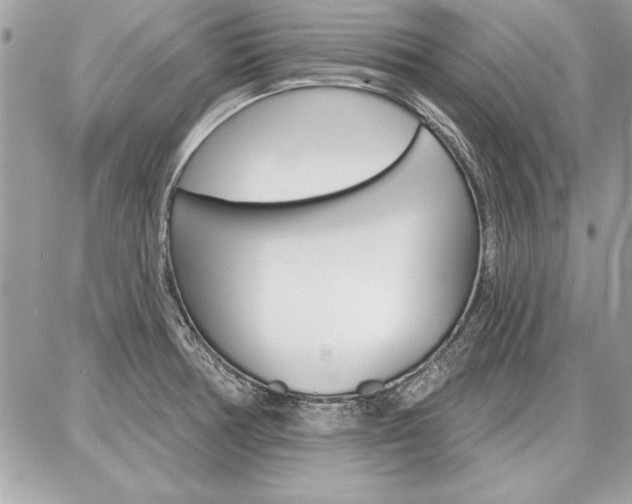 X0000086881378200704160929