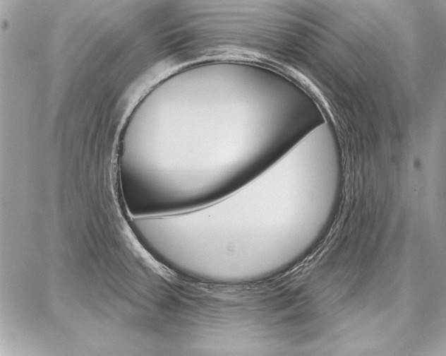 X0000086881379200704160929
