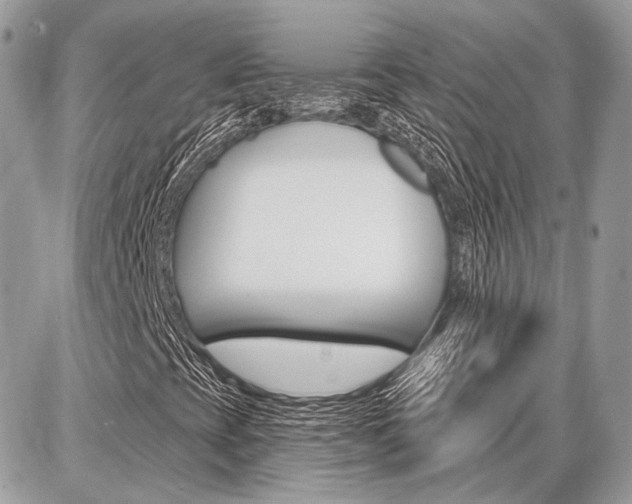 X0000086881393200704160928