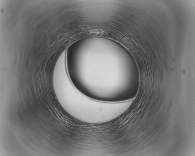 X0000086881394200704160928