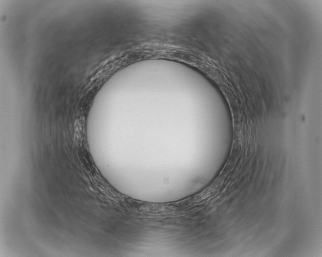 X0000086881397200704160928