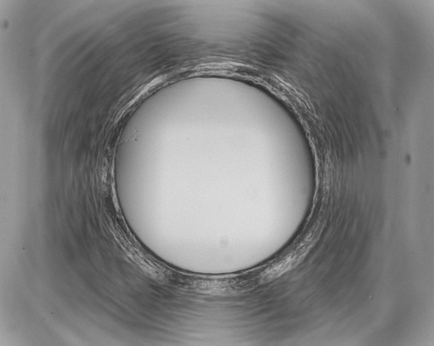X0000086881401200704160928