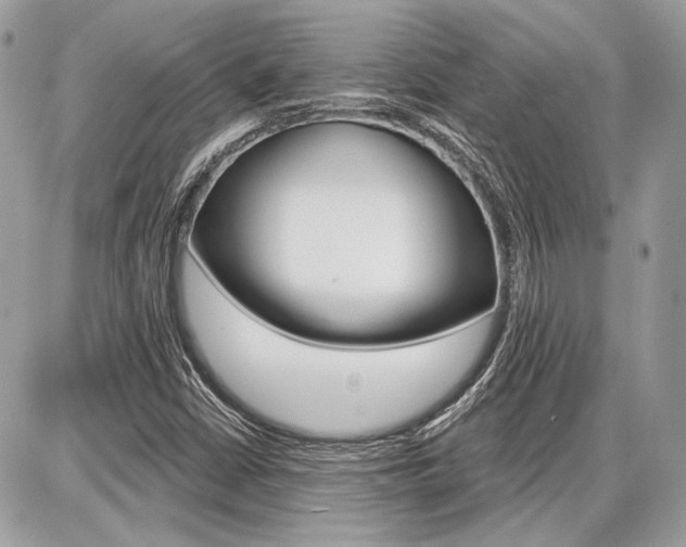 X0000086881402200704160928