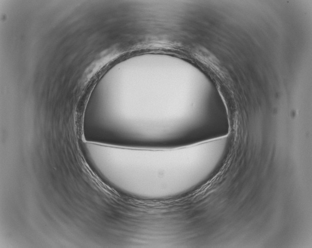 X0000086881404200704160928