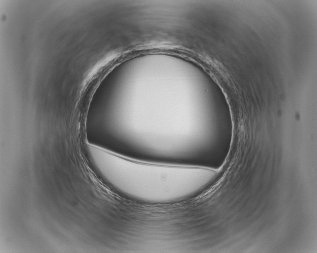 X0000086881406200704160928