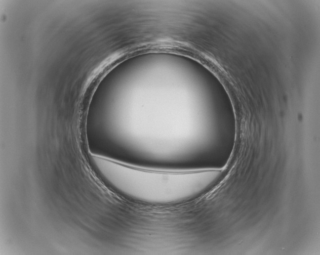 X0000086881410200704160928