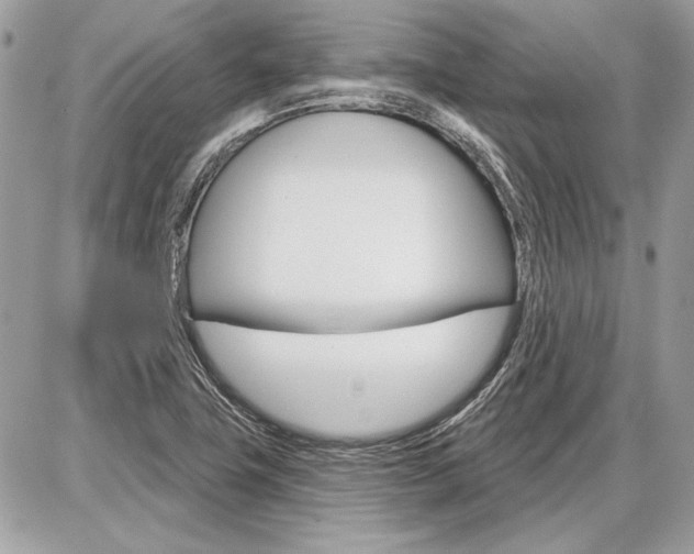 X0000086881411200704160928