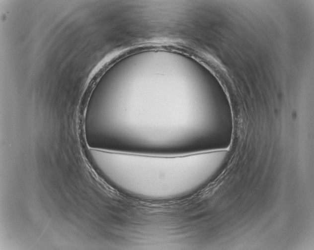 X0000086881412200704160928