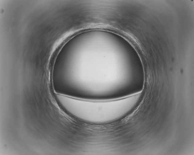 X0000086881414200704160928