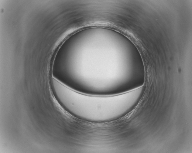 X0000086881422200704160928