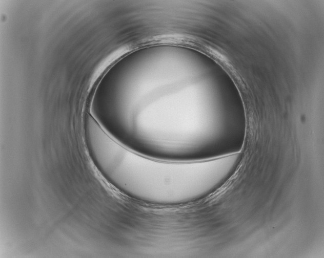 X0000086881426200704160928