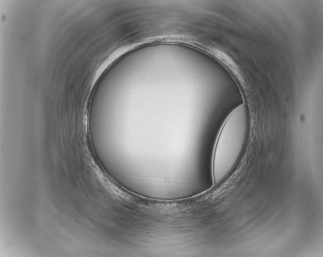 X0000086881428200704160928