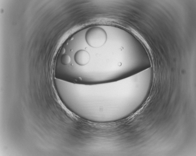 X0000086881437200704160928