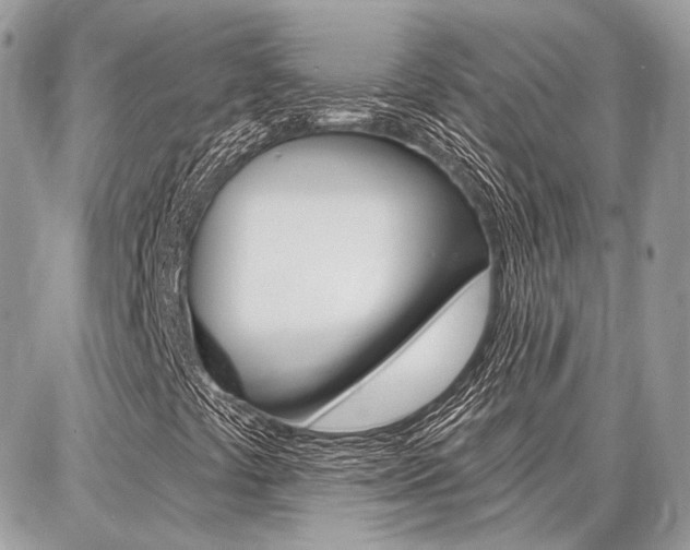 X0000086881441200704160927