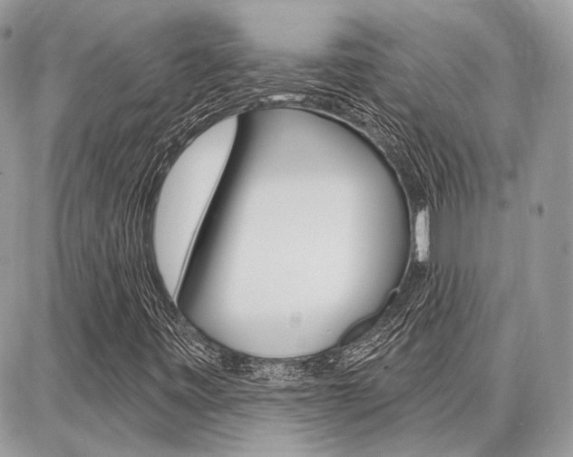 X0000086881443200704160927