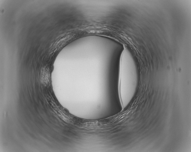 X0000086881444200704160927