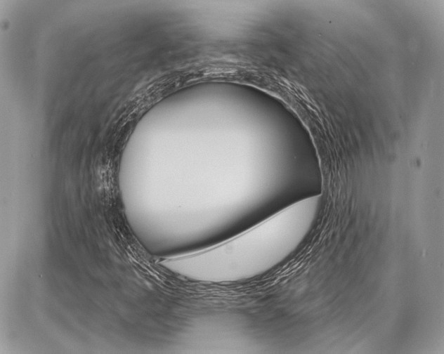X0000086881445200704160927