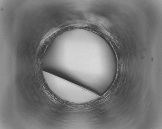 X0000086881448200704160927