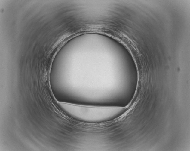 X0000086881449200704160927