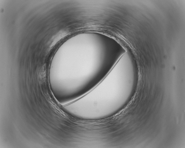 X0000086881450200704160927