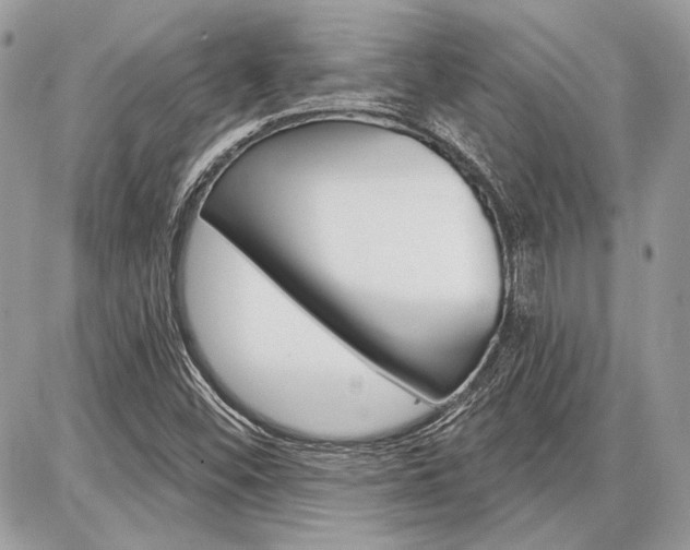 X0000086881452200704160927