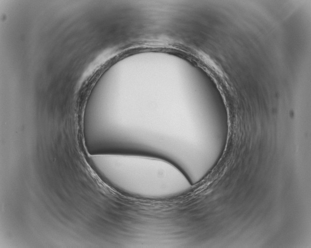 X0000086881456200704160927