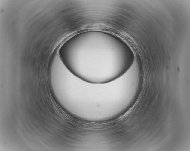 X0000086881457200704160927